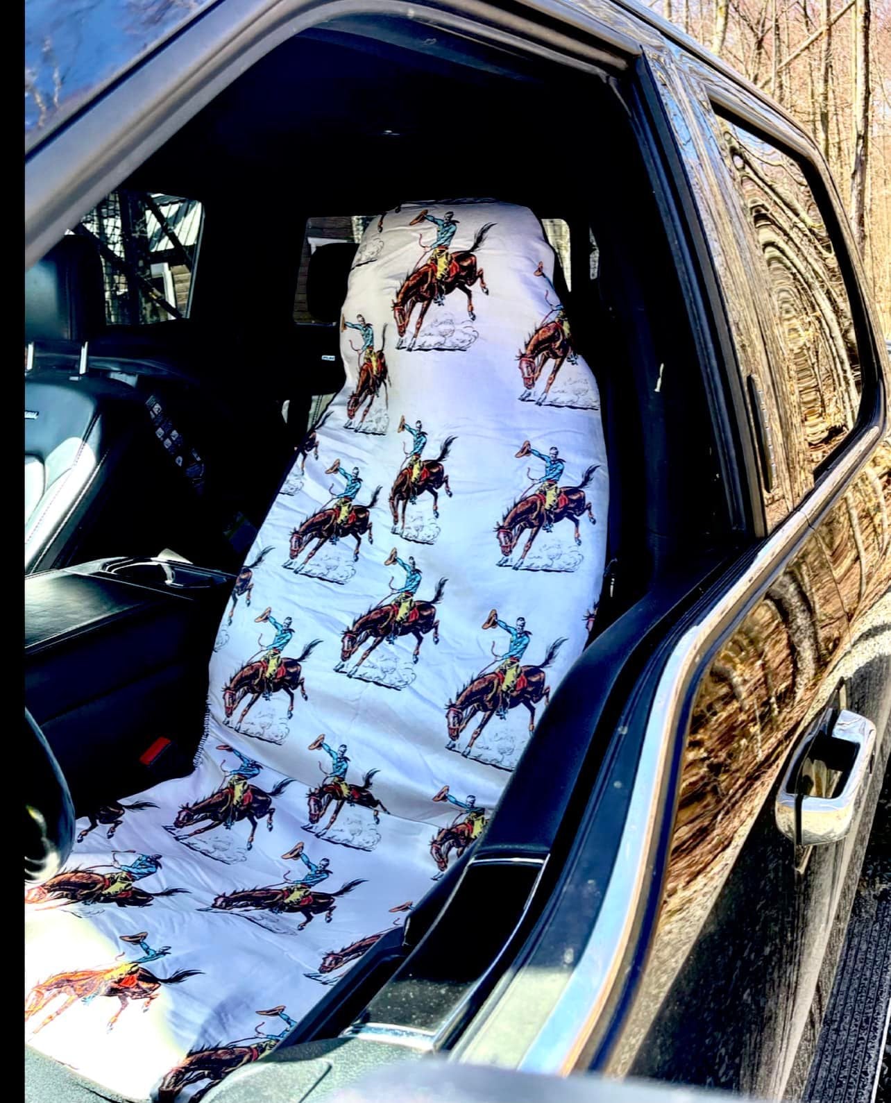 Car Front Seat Covers- Set of 2