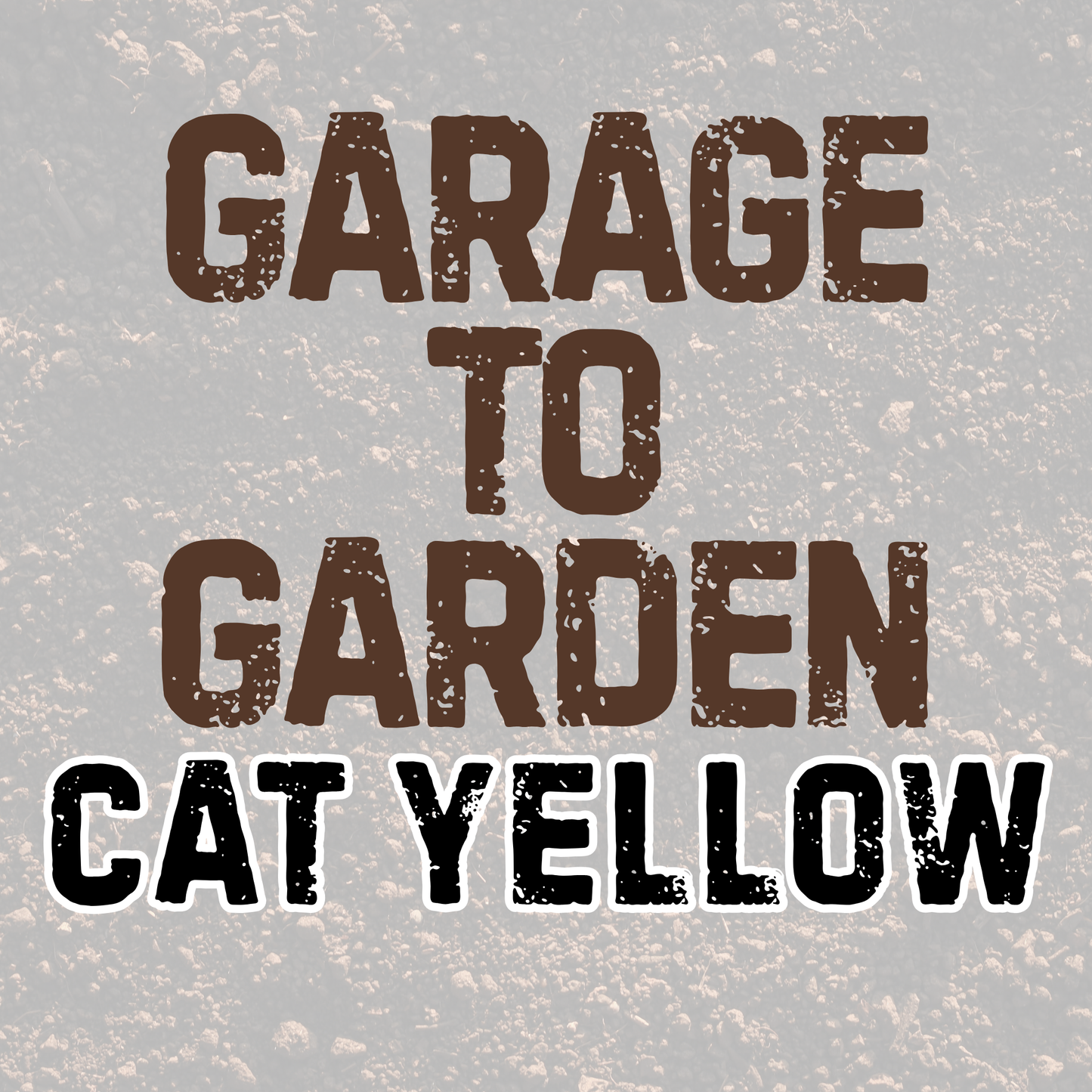 CAT YELLOW | GARAGE TO GARDEN