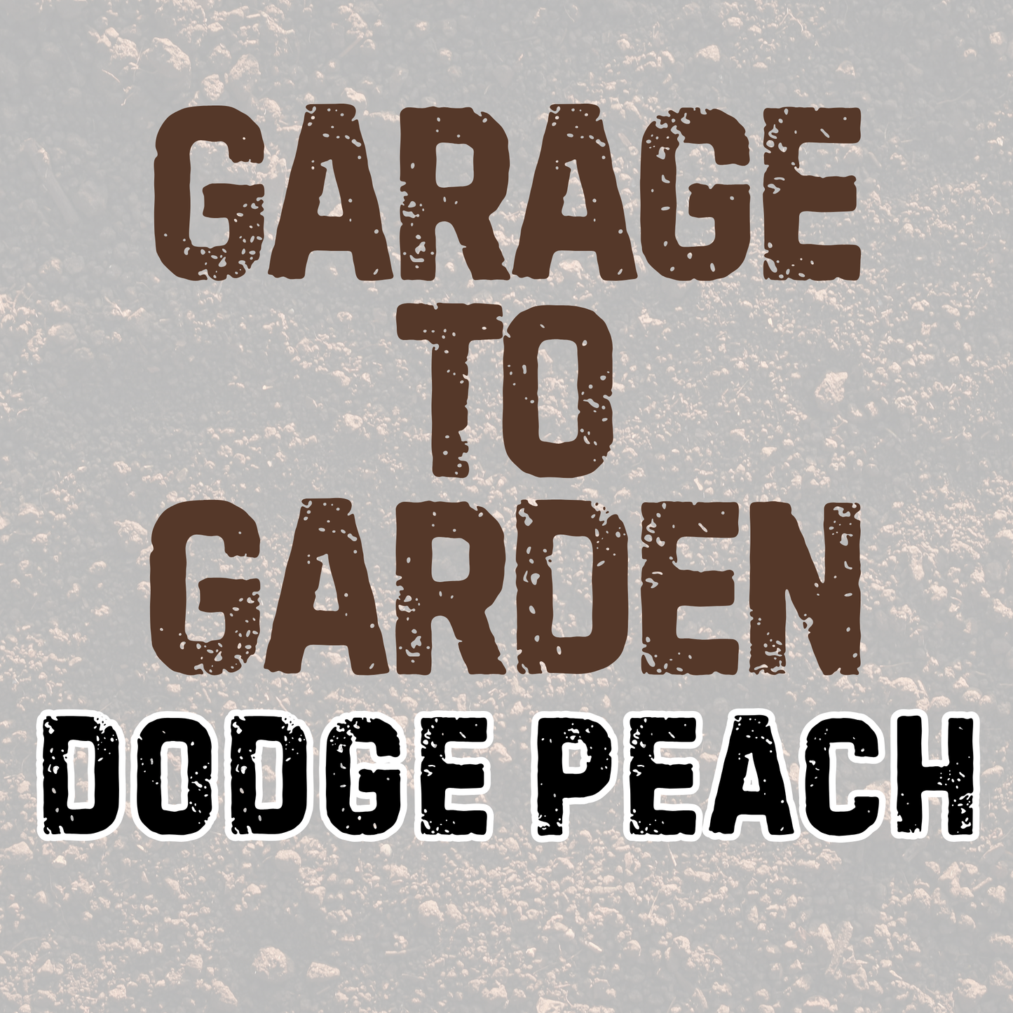 DODGE PEACH | GARAGE TO GARDEN