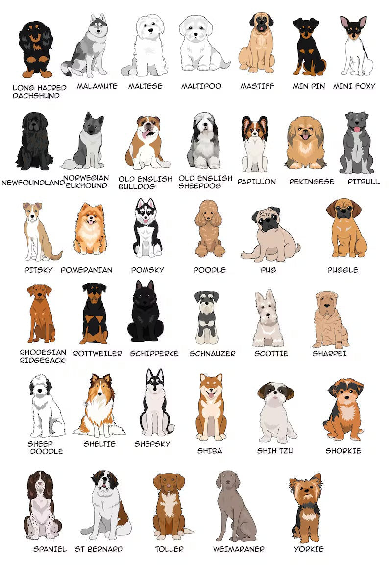 Valentine’s Day Dogs 2.0 - WS