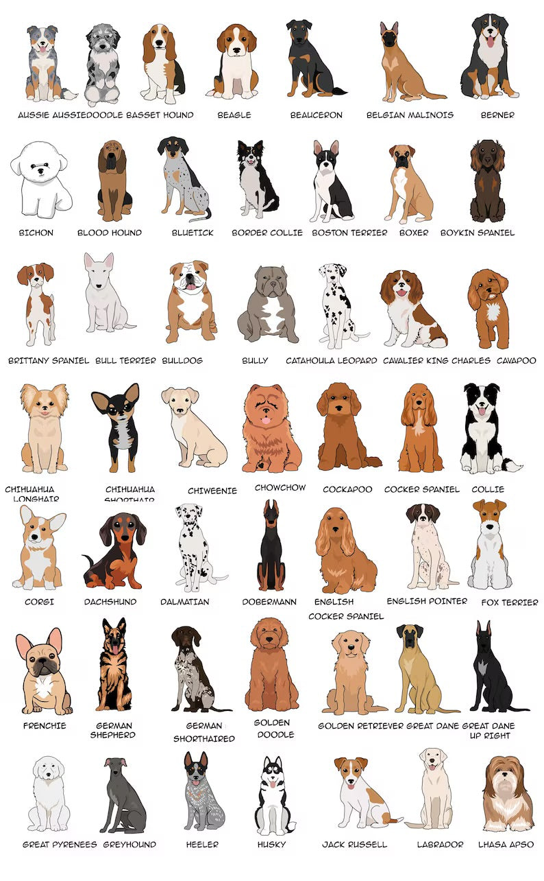 Valentine’s Day Dogs 2.0 - WS