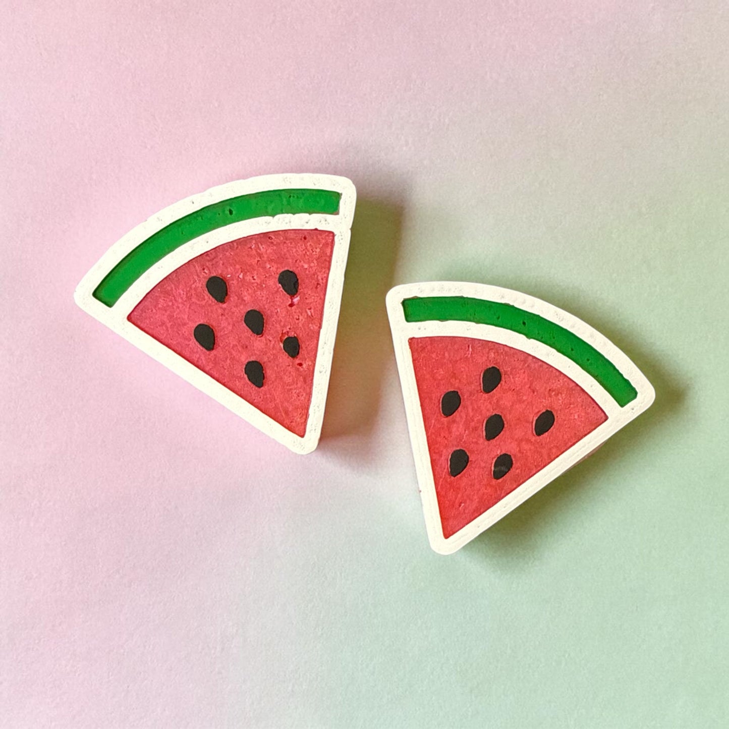 Watermelon Vent Clips and Magnets
