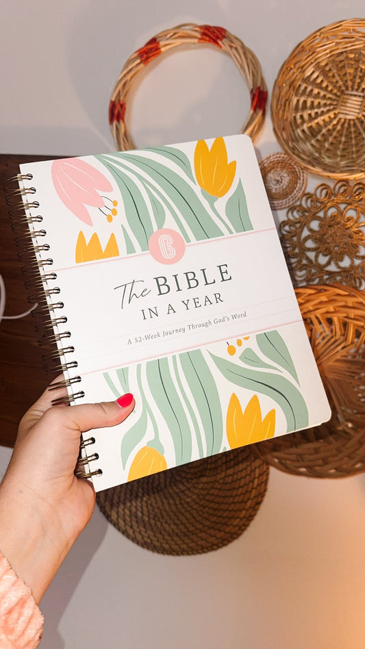 A Year in the Bible R3