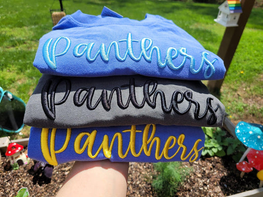 Panthers 3D Puff Embroidered Shirt
