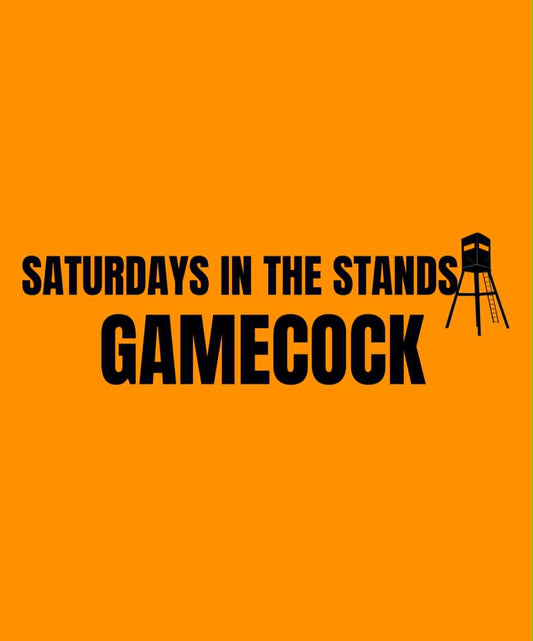 GAMECOCK | SATURDAY IN THE STANDS