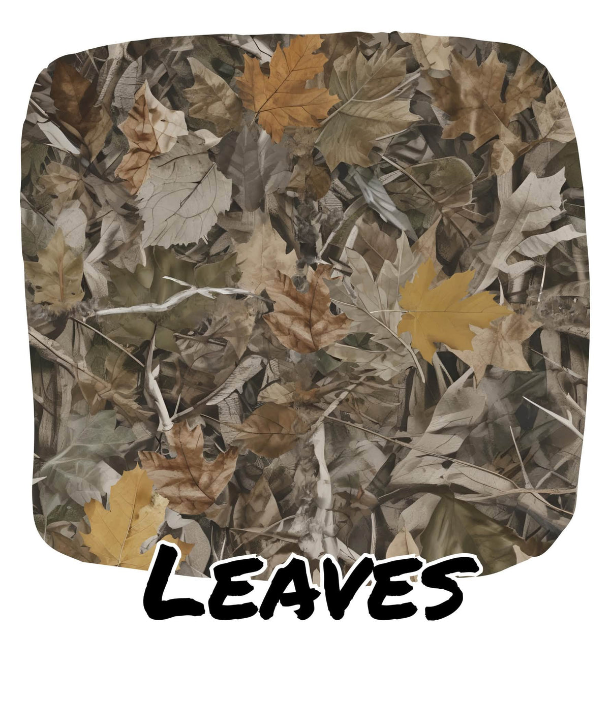 LEAVES | READY TO EXPLORE
