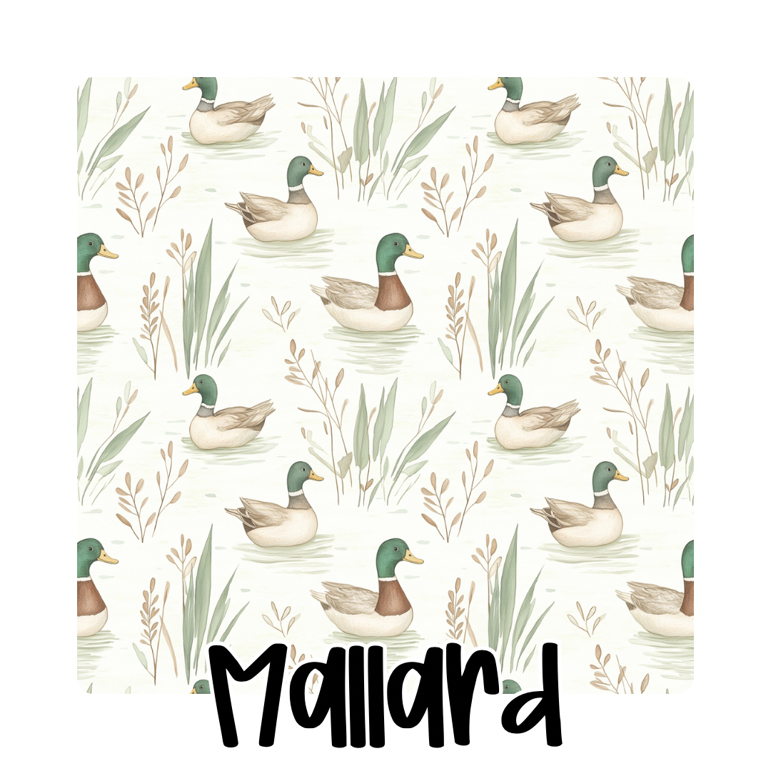 MALLARD | LET’S GET WILD