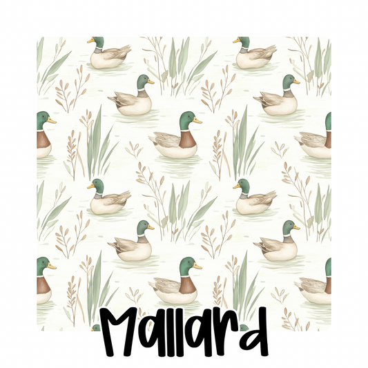 MALLARD | LET’S GET WILD