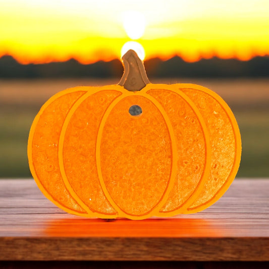 Medium Pumpkin Freshie