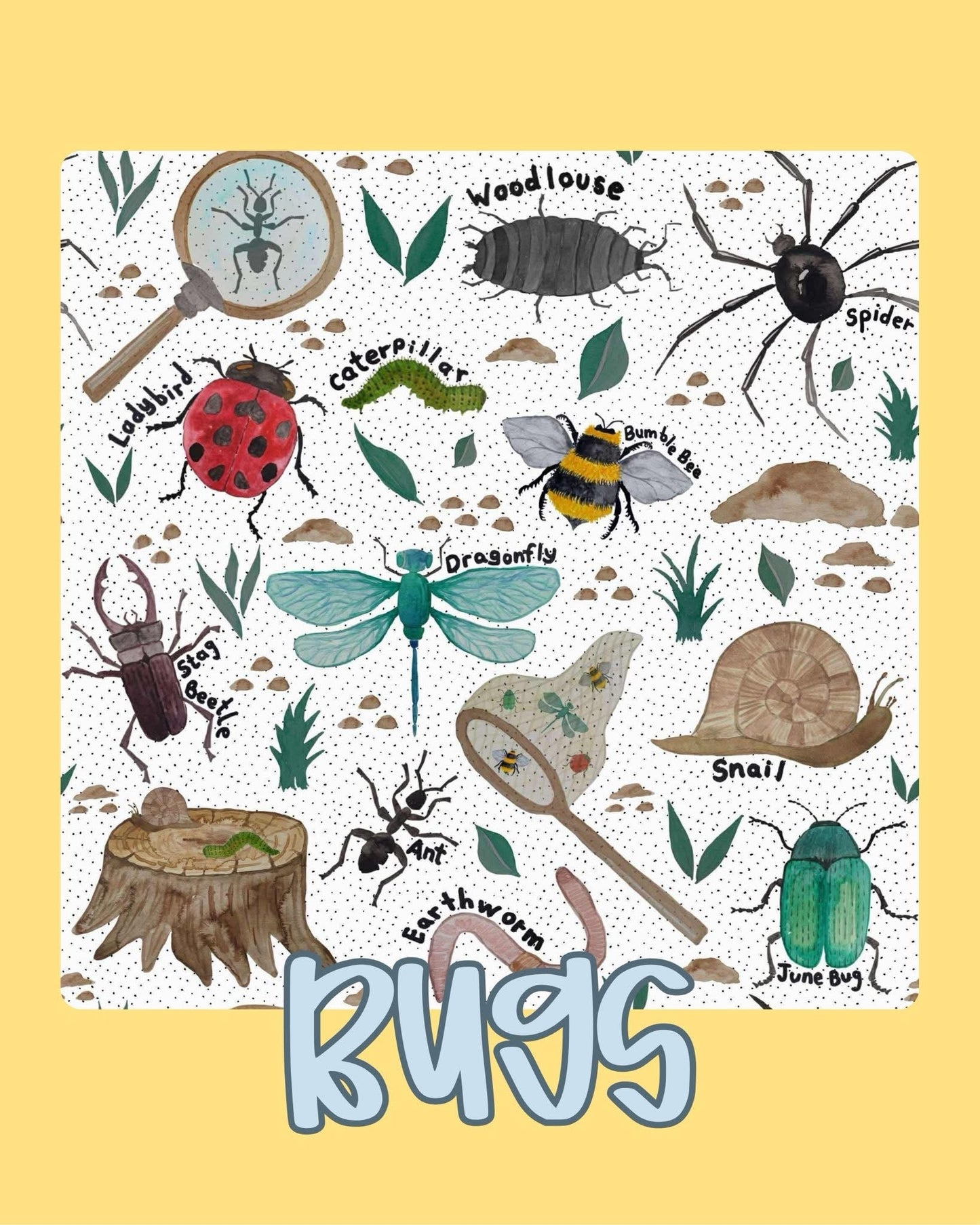 BUGS | HELLO SPRING