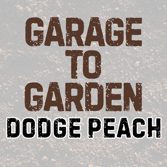 DODGE PEACH | GARAGE TO GARDEN