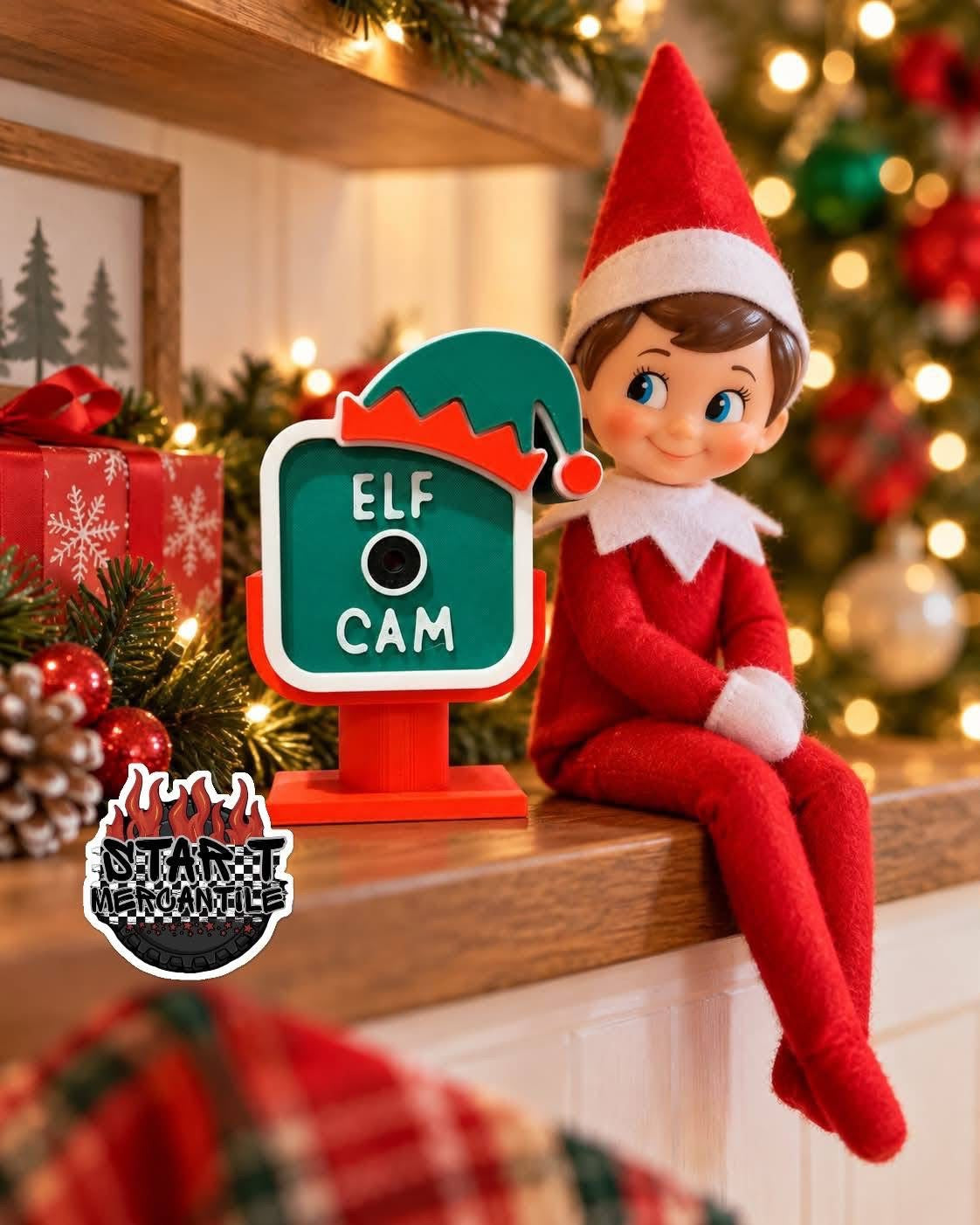 Elf/Santa Cam