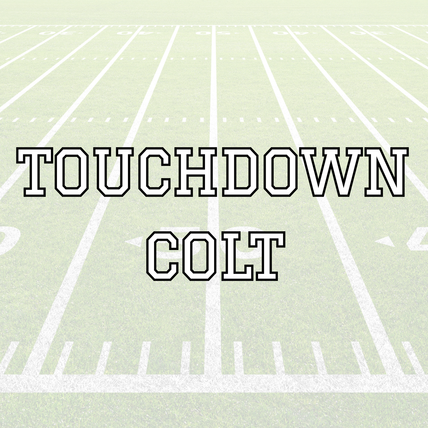TOUCHDOWN BLANKETS
