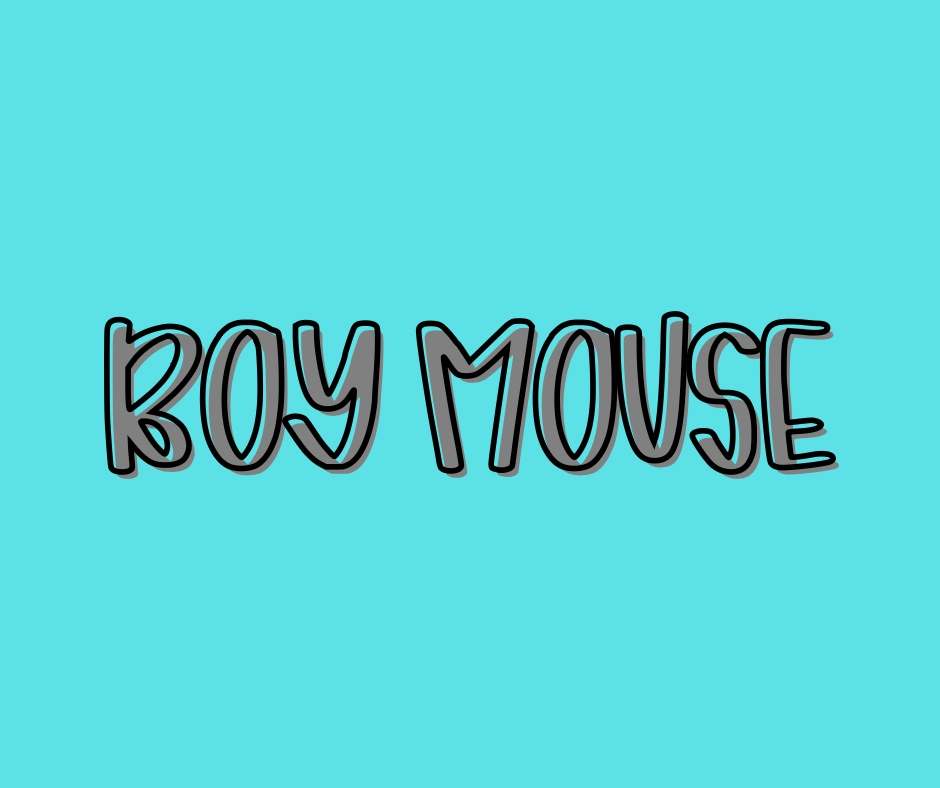 BOY MOUSE | COZY DREAMS RERUN