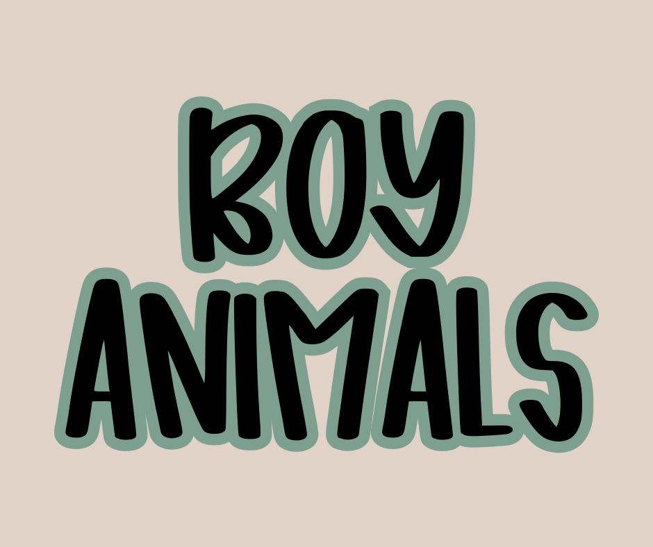 BOY ANIMALS | LET’S GET WILD
