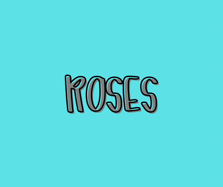 ROSES | COZY DREAMS RERUN